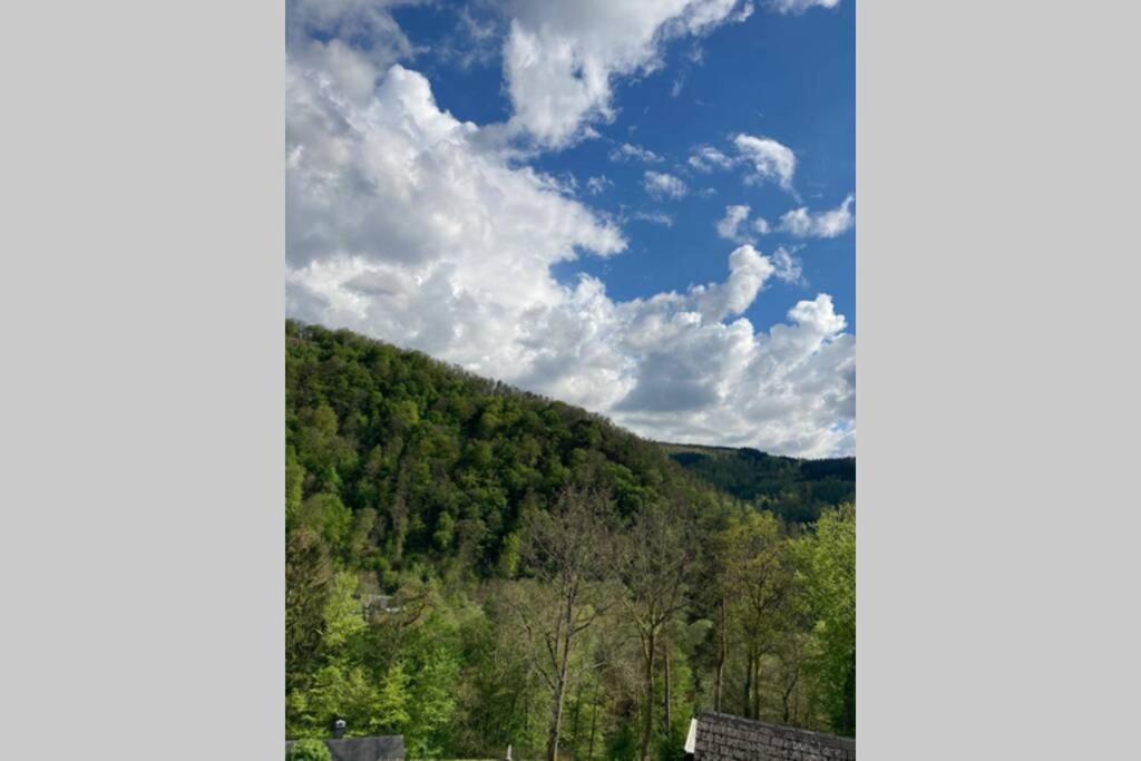 La Mejounete De Lucie Vresse-sur-Semois Exteriör bild